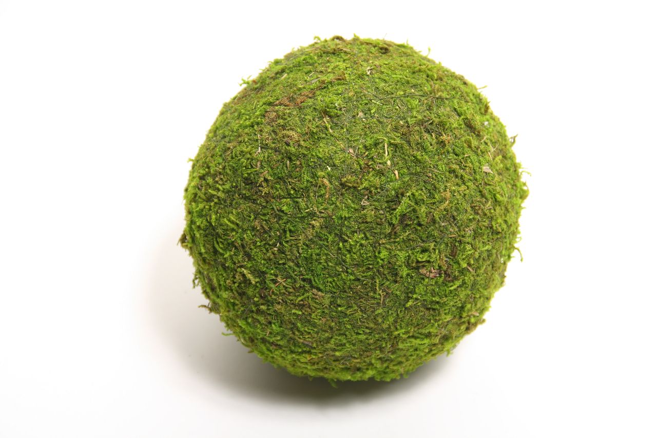 SFERA MUSCHIO D15CM. 4PZ. VERDE