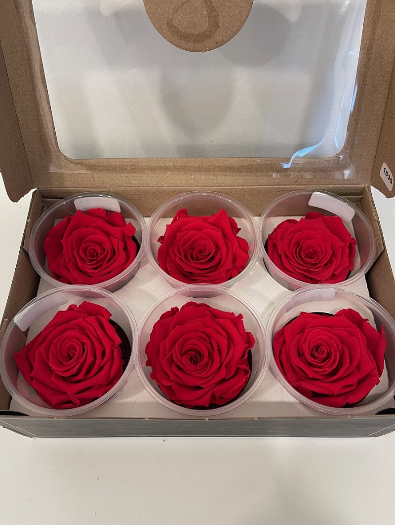 ROSE STABILIZZ.6PZ. LL ORA-03 ---NETTO-------