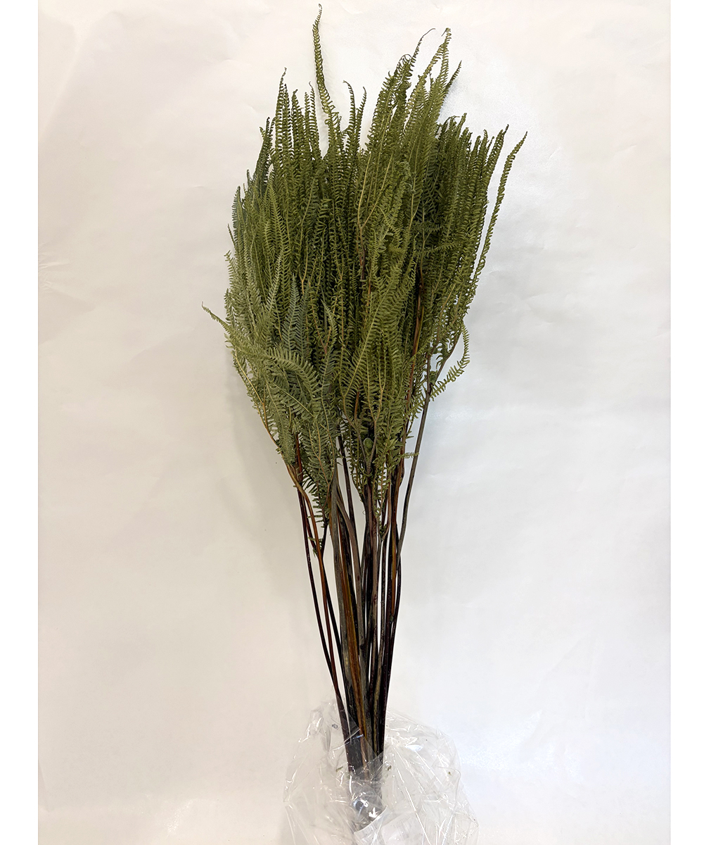 SAMAMBAIA TITANITE 200GR. 90CM. VERDE