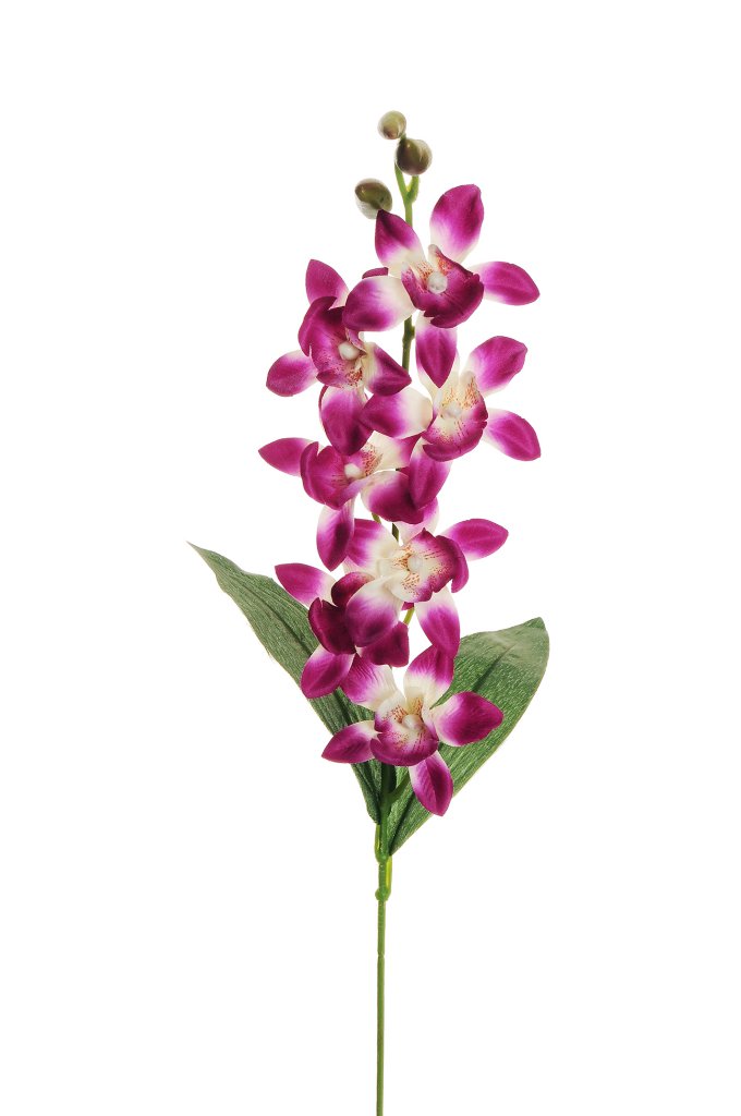 DENDROBIUM 7FIORI 3BUDS 67CM. 12PZ. PURPLE