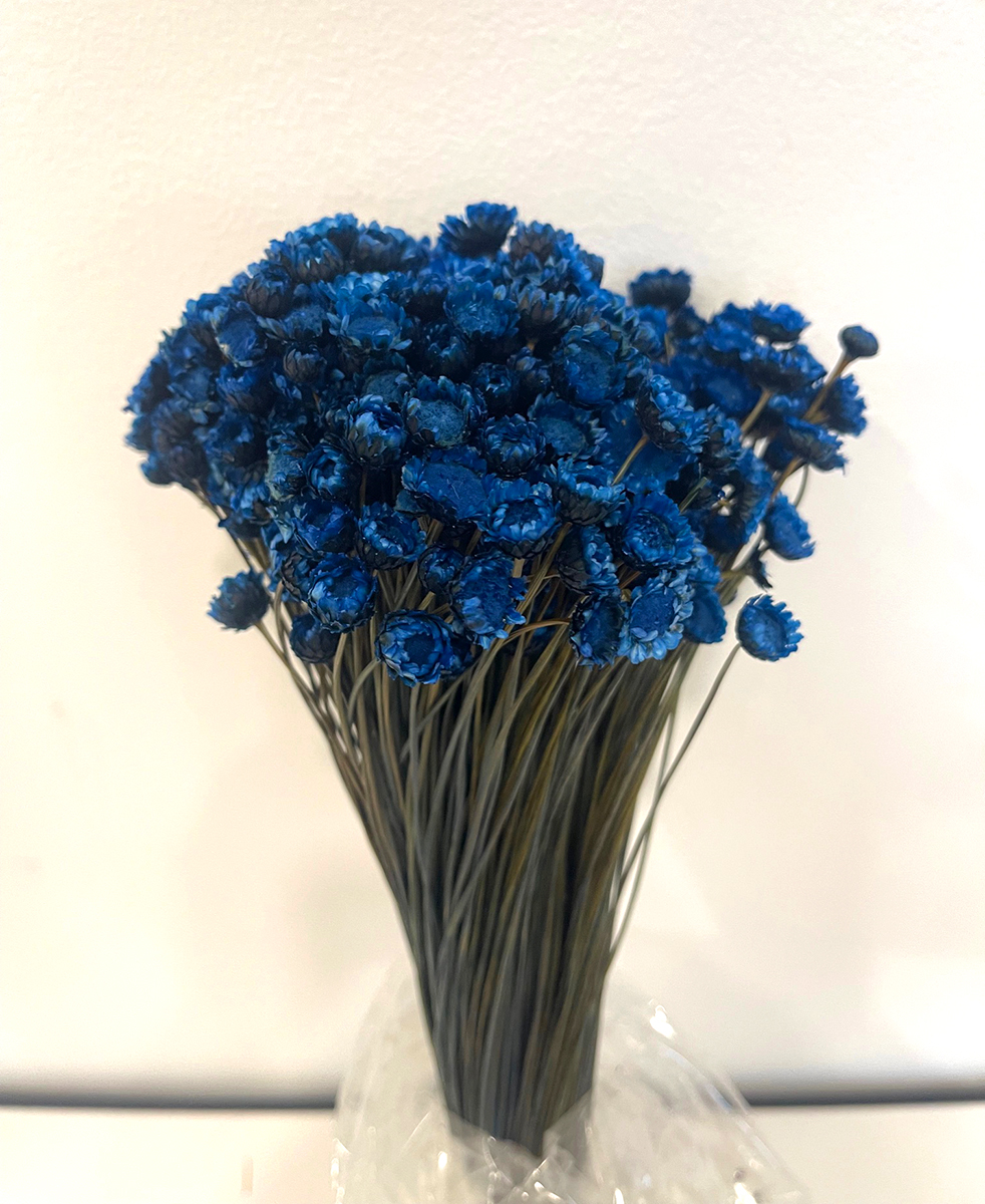 GLIXIA GIGANTE 100GR. 50CM. BLU