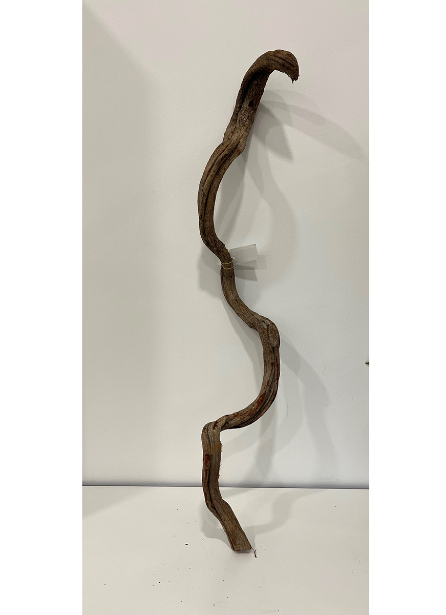 CIPO ROSCA L100CM. D6CM. NATURALE