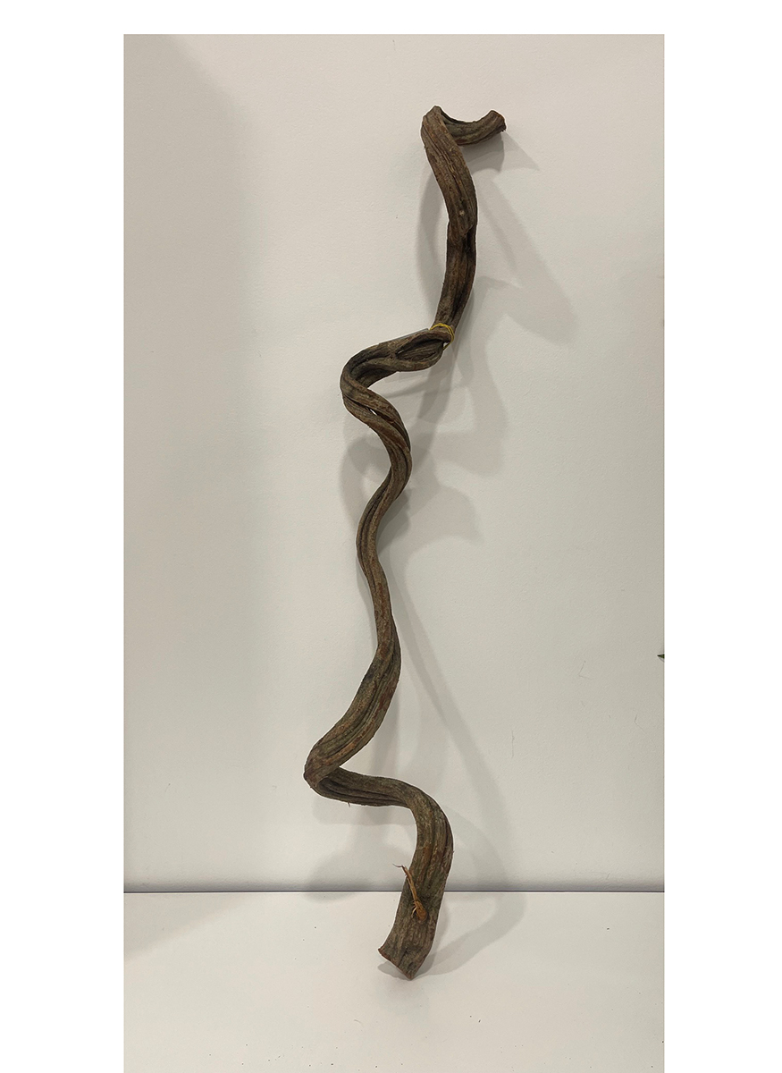 CIPO ROSCA L100CM. D4CM. NATURALE