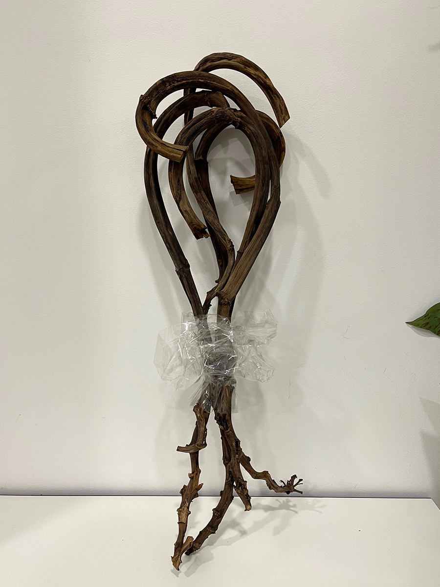 BANANA BRANCH STICK 5PZ D.2,5 L.90CM