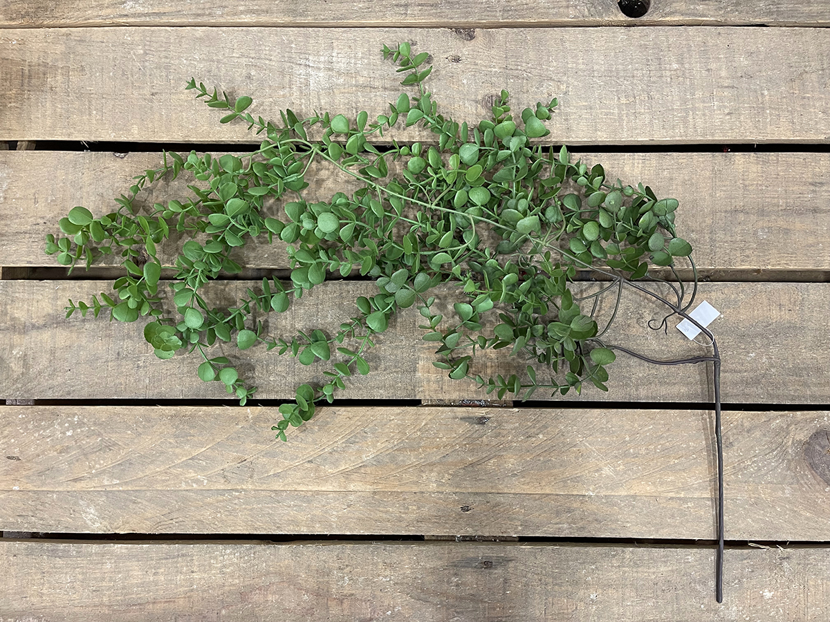 EUCALYPTUS LEAVES VINE 105CM. VERDE