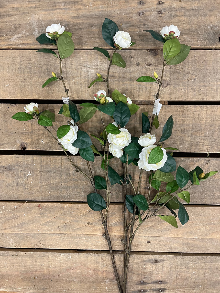 CAMELIA SPRAY WHITE