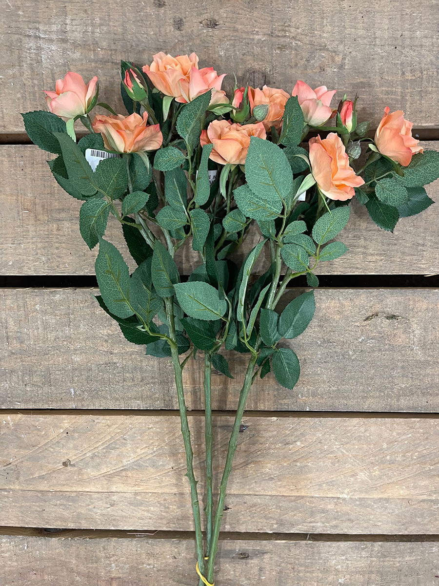 JOYCE ROSE SPRAY APRICOT