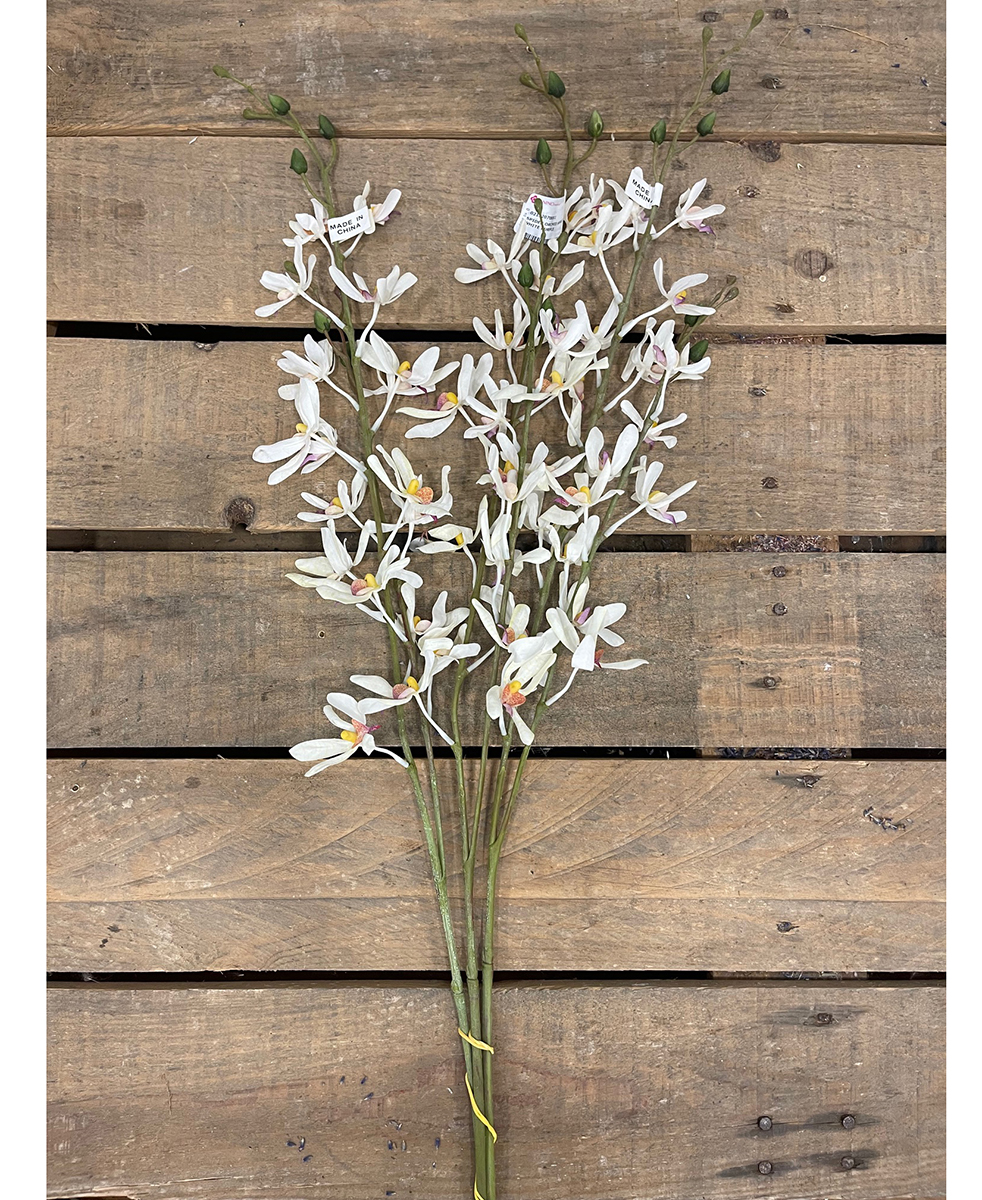 SPIDER ORCHID SPRAYX2 WHITE PURPLE