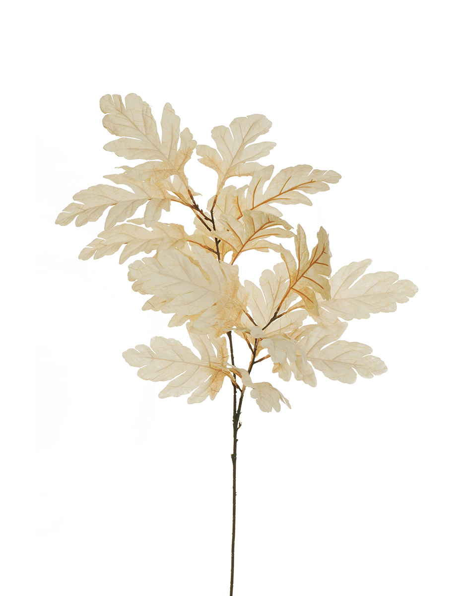 RAMO FOGLIE DI QUERCIA 105CM. 2PZ. CREMA