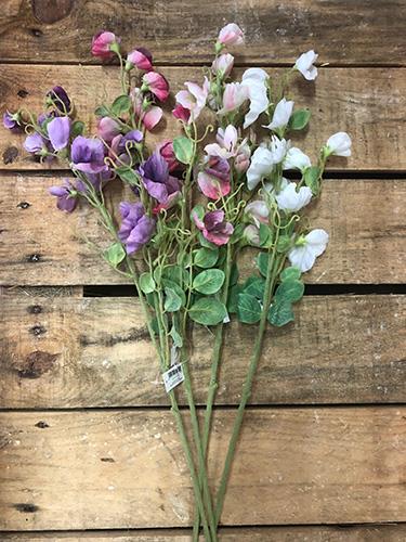 SWEET PEA SPRAY 70CM. 4PZ.ASS.