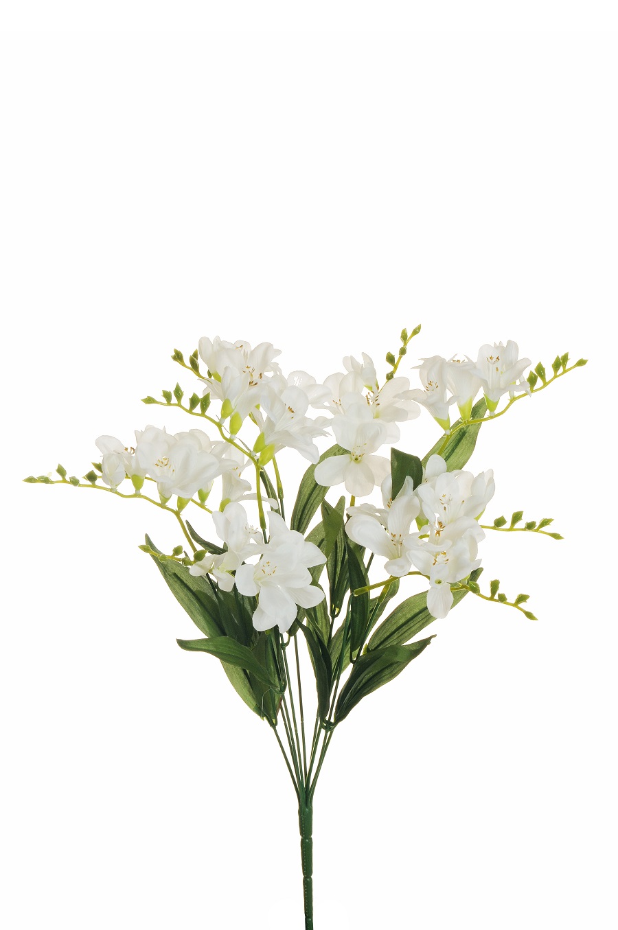 FREESIA BUSH X9 50CM. BIANCO