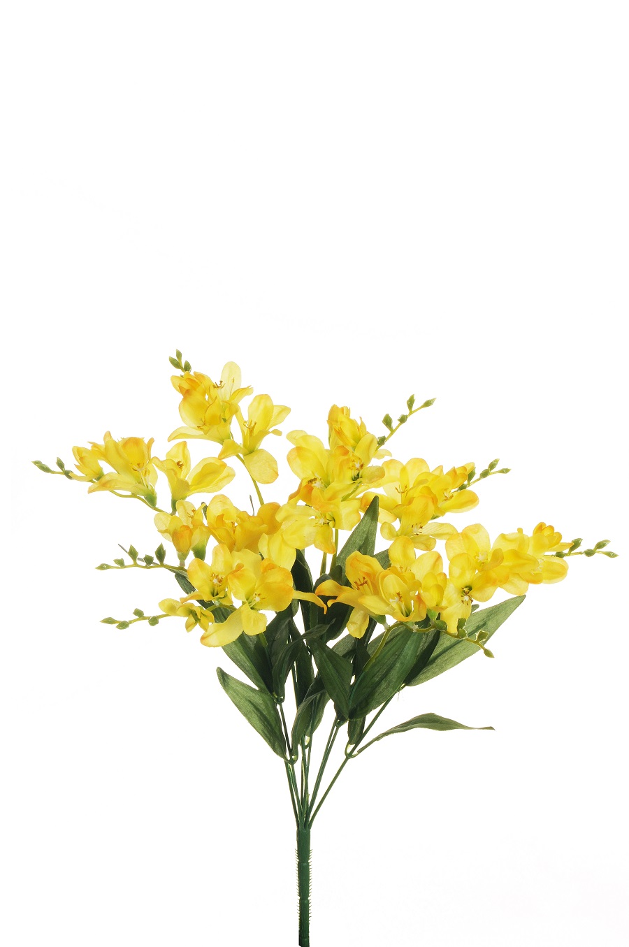 FREESIA BUSH X9 50CM. GIALLO