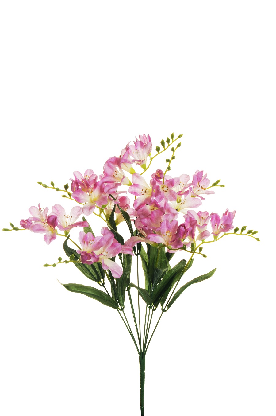FREESIA BUSH X9 50CM. LILLA