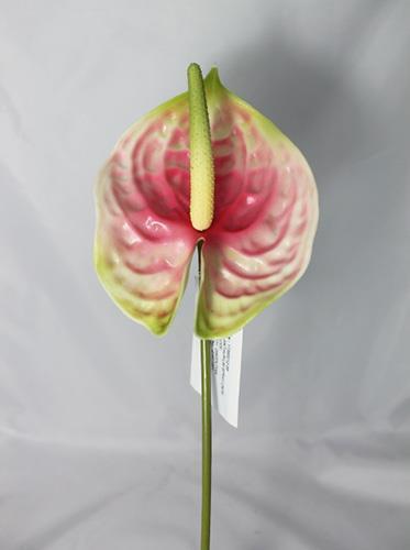 ANTHURIUM SPRAY 70CM. 3PEZZI PINK GREEN