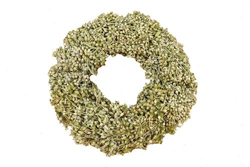 CORONCINA EXOTICA WAX D23CM. OLIVA