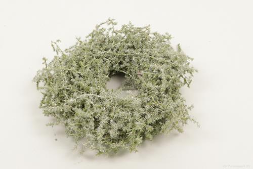CORONCINA ASPARAGUS D23CM. OLIVA