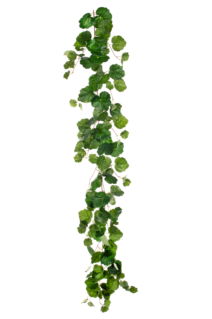 FESTONE FOGLIA DI GERANIO X63 170CM. VERDE