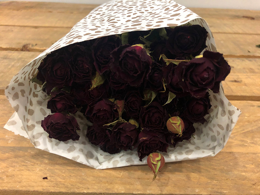 ROSES SPRAY 10PZ. NAT. RED
