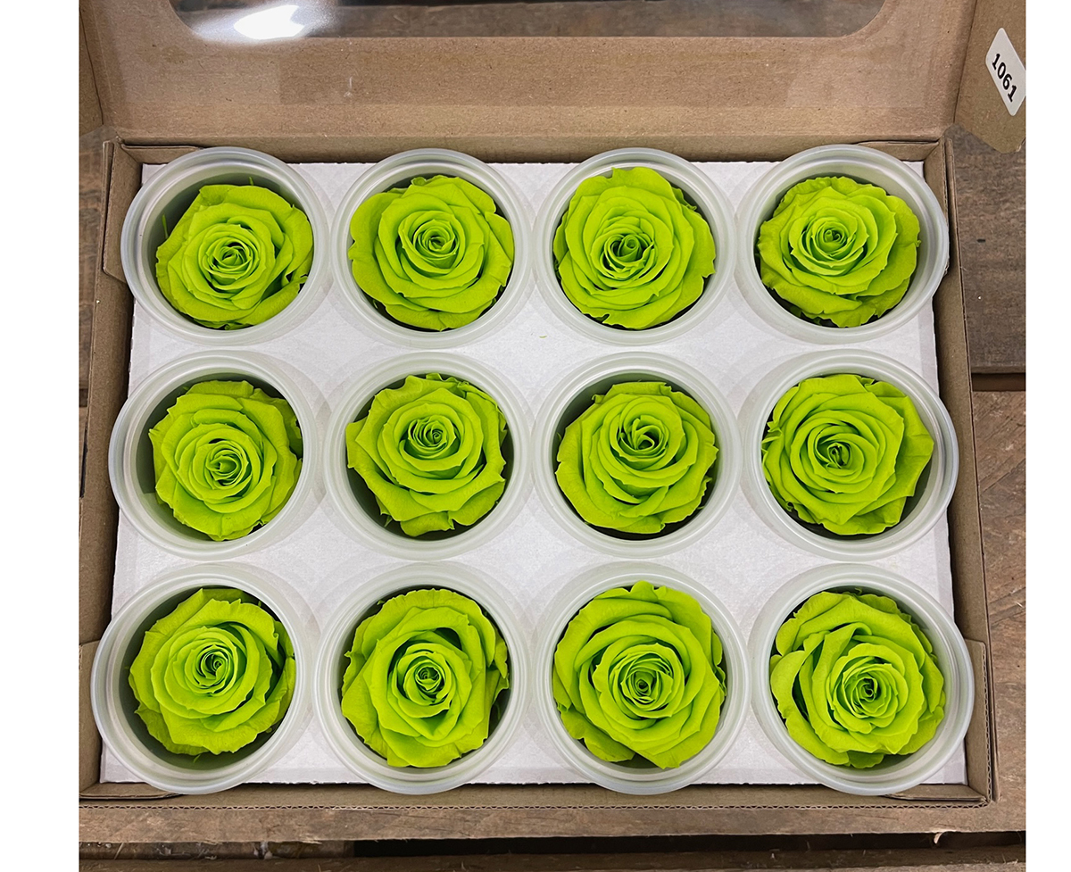 ROSE STABILIZZ.12PZ. S VERDE M. ---NETTO-------