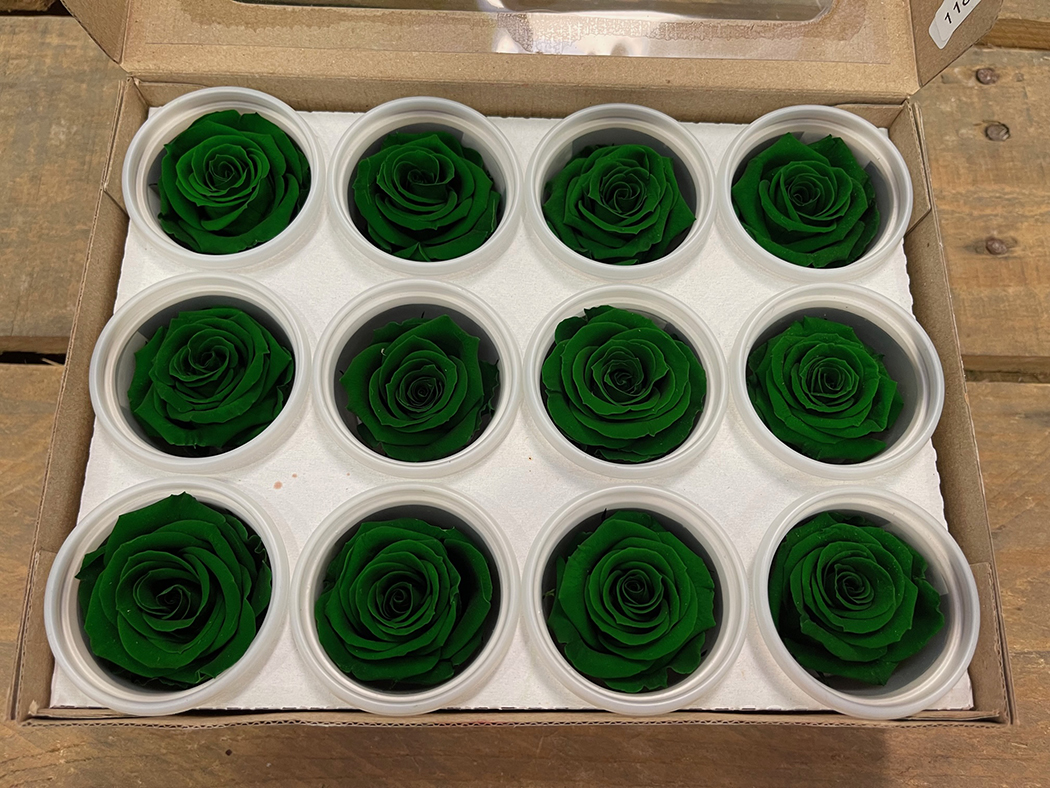 ROSE STABILIZZ.12PZ. S GRE-02 ---NETTO-------