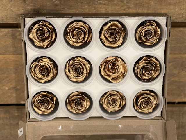 ROSE STABILIZZ.12PZ. S GOLD MET. ---NETTO-------