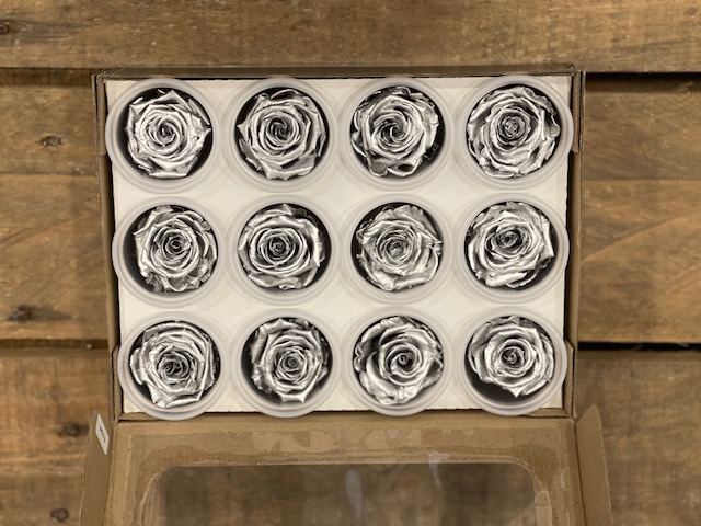 ROSE STABILIZZ.12PZ. S SILVER MET. ---NETTO-------