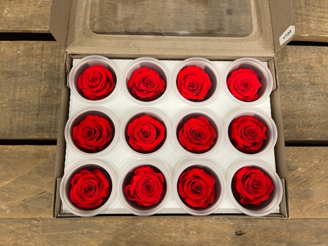 ROSE STABILIZZ.12PZ. S ORA-03 ---NETTO-------