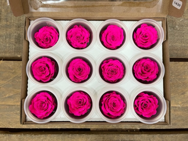 ROSE STABILIZZ.12PZ. S PIN-07 ---NETTO-------