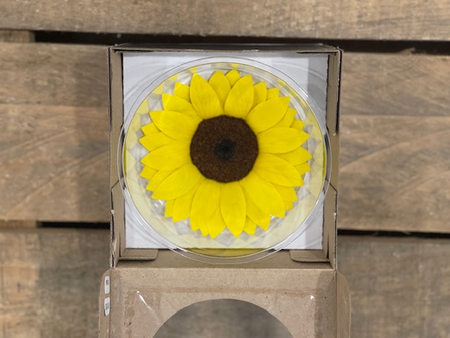 GIRASOLE STABILIZZATO CLASSIC XXL ---NETTO---