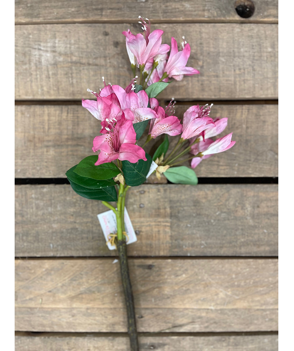 RODODENTRO CM.85 HOT PINK