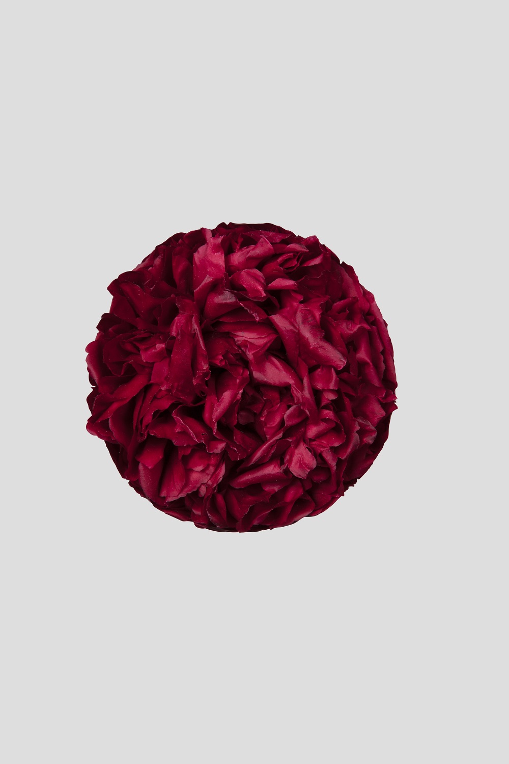 PEONIA D.9CM. RED --- NETTO ---