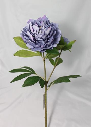 PEONIA VALOURS 1FIORE 1BUD. 75CM. VINT.BLUE