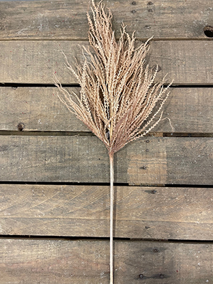 PAMPAS ARGENTINA BIG 125CM. PEACH