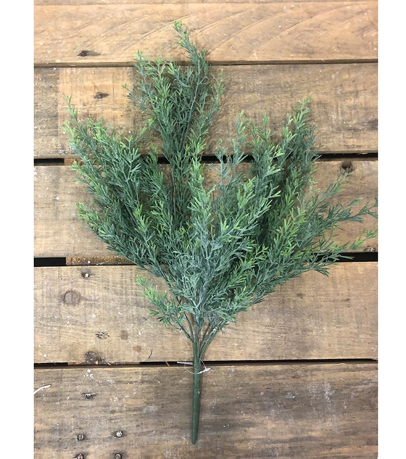 ROSEMARY BUSH FROSTED 50CM. VERDE