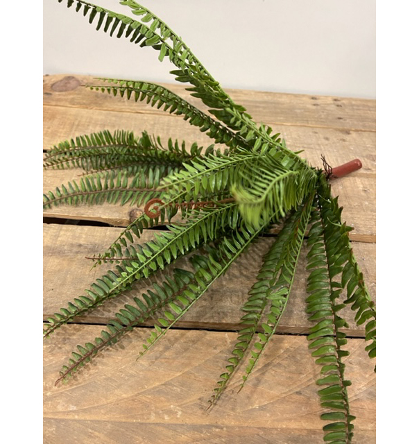 FELCE X24 52CM. VERDE