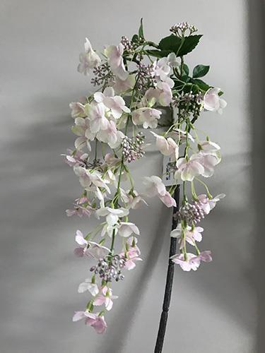 HYDRANGEA VINE 120CM. ROSA CH.