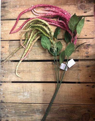 AMARANTHUS CAUDATO X10 135CM. 2PZ. ASS.