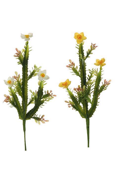 RUBBER EUPHORBIA 36CM. 2PZ.ASS.