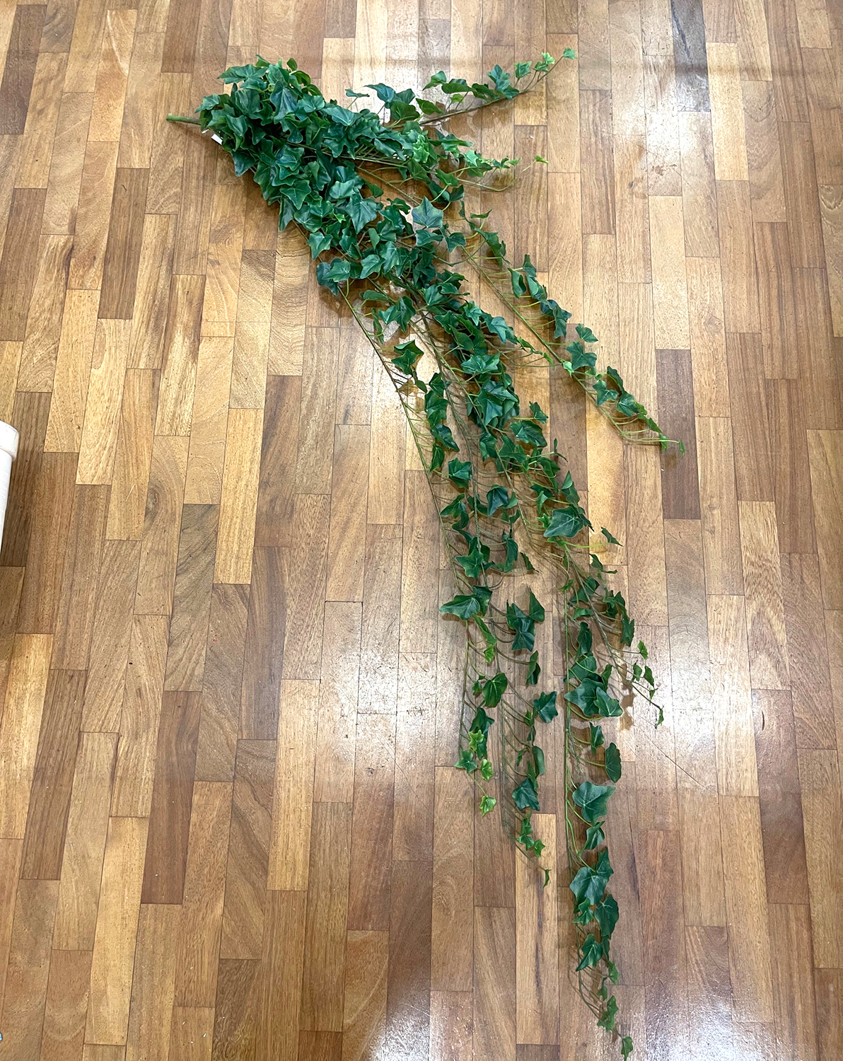 EDERA MINI BUSH 432FOGLIE 180CM. VERDE