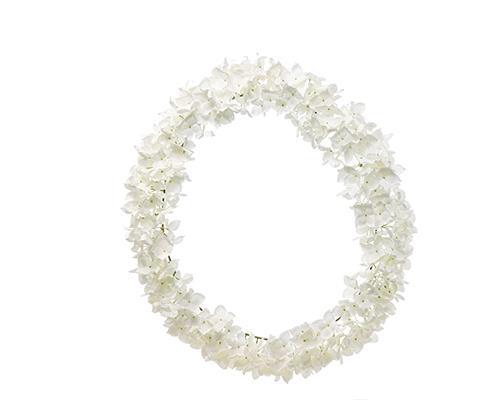 CORONA DI HYDRANGEA D63CM. CREMA