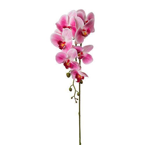 PHALAENOPSIS 7FIORI 86CM. REAL T. ROSA