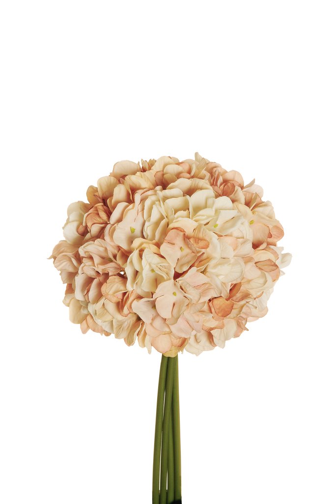 HYDRANGEA JULIET BUNDLE 4STELI 35CM. LT BROWM