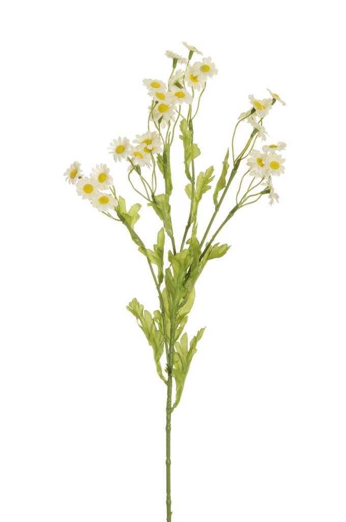 CAMOMILLA SPRAY 53,5CM. 2PZ. BIANCO