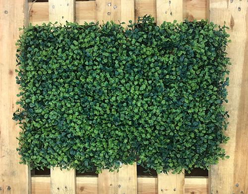 PRATO BOSSO CM.58X40 GREEN