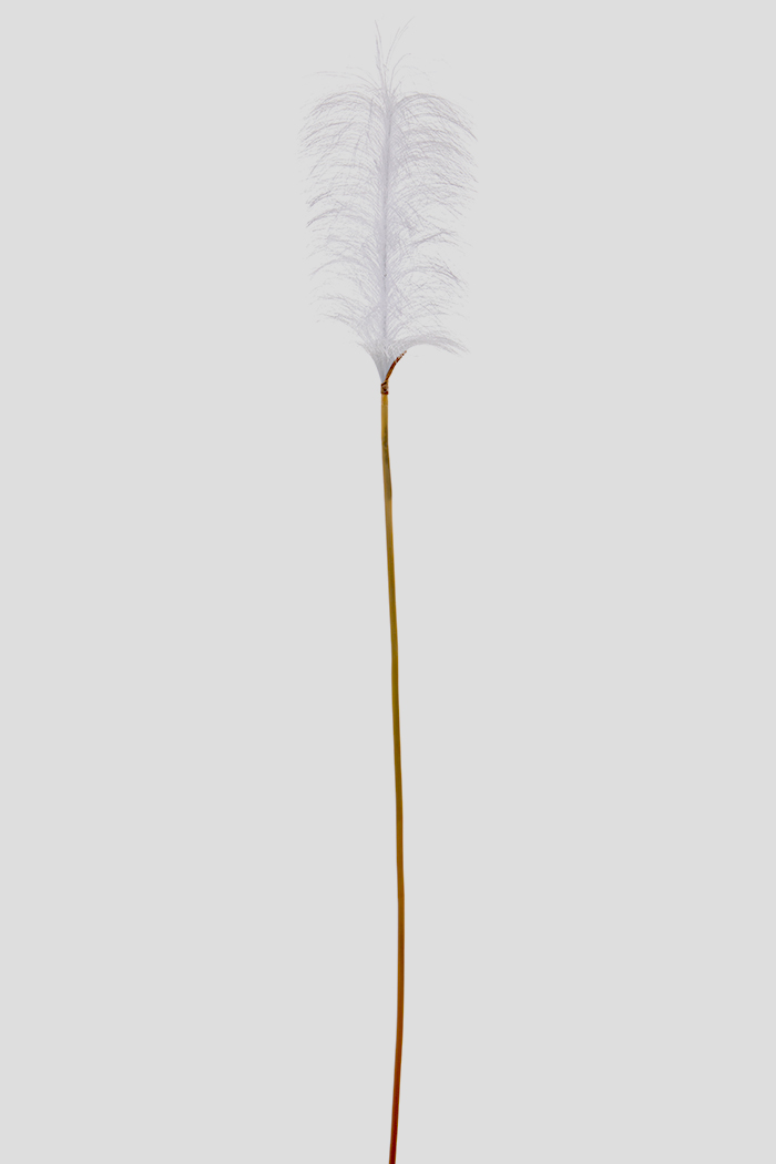 TRALCIO PAMPAS 120CM. 3PZ.  BIANCO