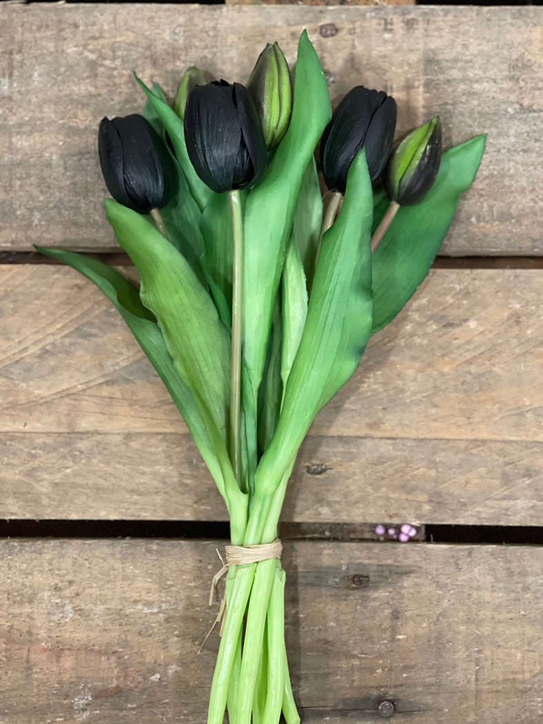 TULIPANI BUNDLE 7STELI 30CM. NERO