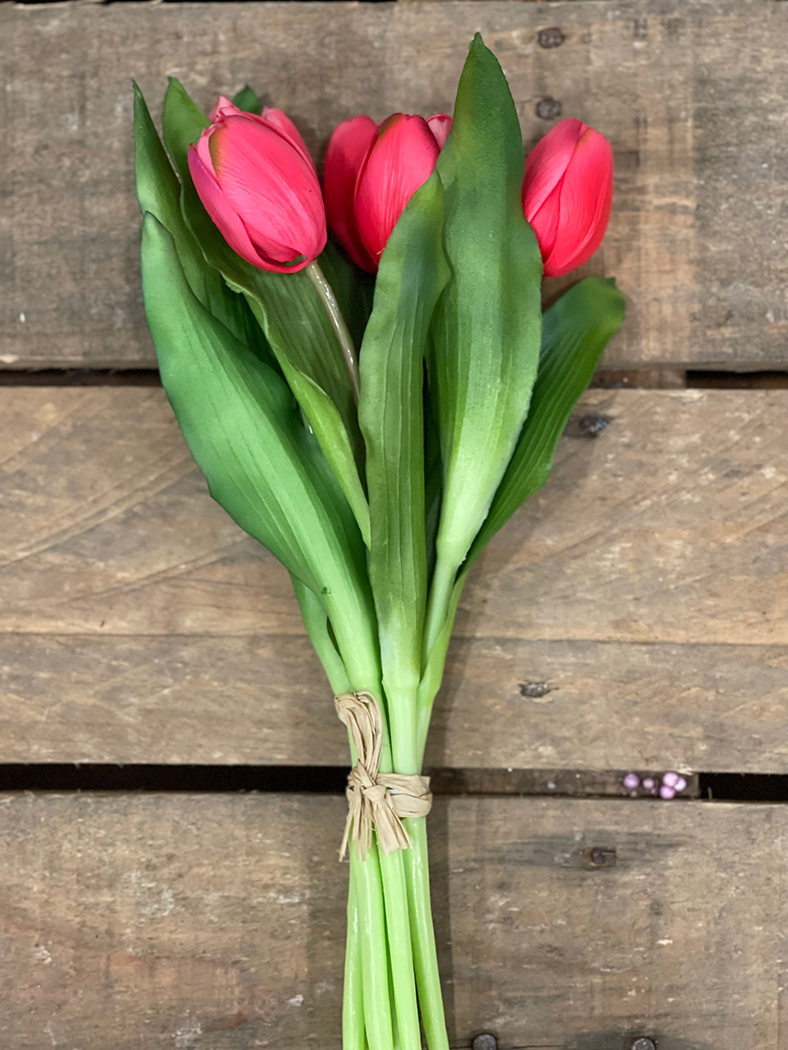 TULIPANI BUNDLE 7STELI 30CM. DK/PNK