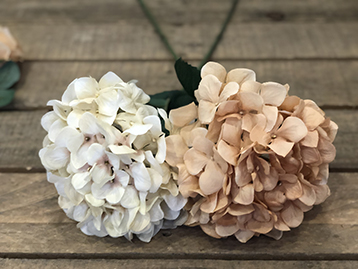 HYDRANGEA 70CM. 2PZ.ASS. CREMA/BEIGE