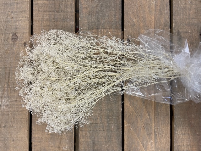 MINI GYPSOPHILA 50GR. BIANCO