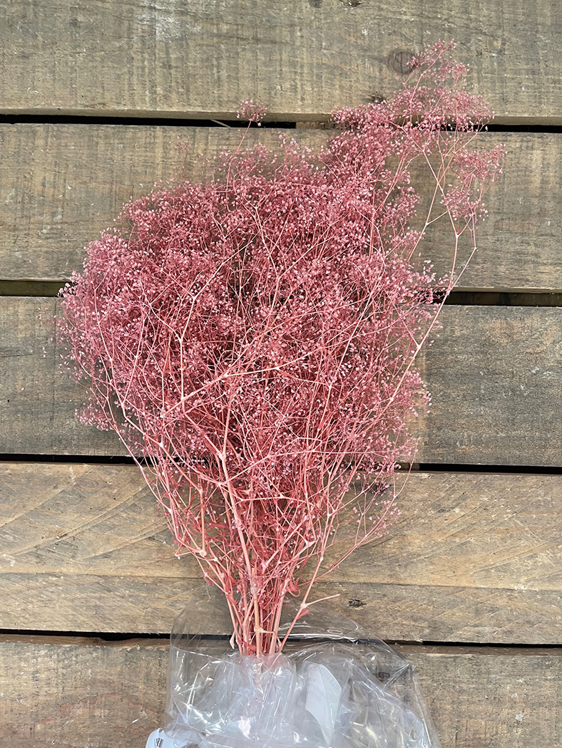 MINI GYPSOPHILA 50GR. CIPRIA